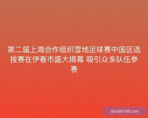 第二届上海合作组织雪地足球赛中国区选拔赛在伊春市盛大揭幕 吸引众多队伍参赛