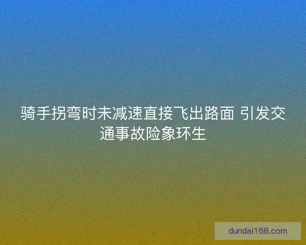 骑手拐弯时未减速直接飞出路面 引发交通事故险象环生