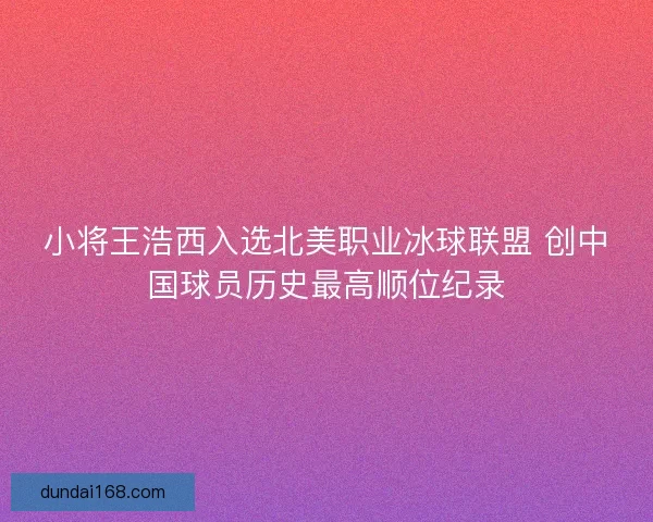 小将王浩西入选北美职业冰球联盟 创中国球员历史最高顺位纪录
